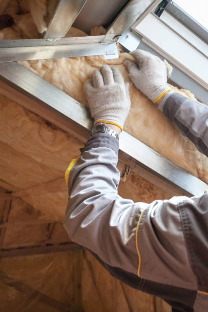 Best Attic Insulation Installation  in Shil, OH