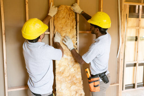 Best Insulation Replacement Services  in Shil, OH