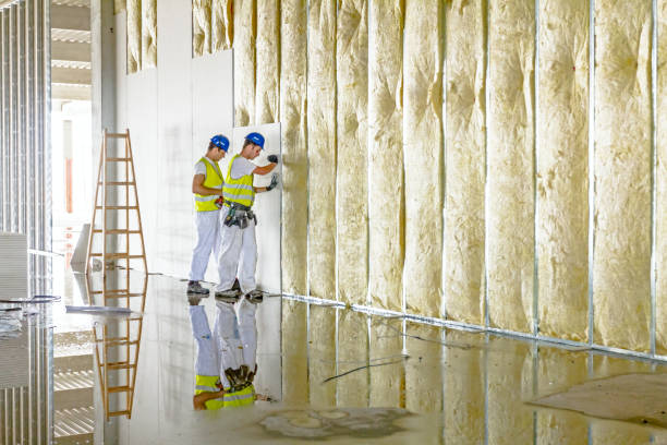 Best Insulation Removal  in Shil, OH